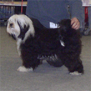 Dyna auf der Ausstellung